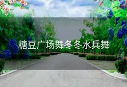 糖豆广场舞冬冬水兵舞