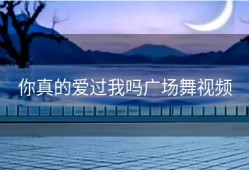 你真的爱过我吗广场舞视频