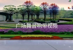 广场舞音响带视频