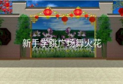 新手学跳广场舞火花