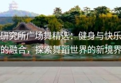 研究所广场舞精选：健身与快乐的融合，探索舞蹈世界的新境界