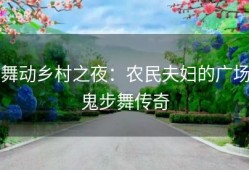 舞动乡村之夜：农民夫妇的广场鬼步舞传奇