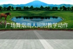 广场舞烟雨人间附教学动作