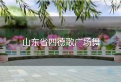 山东省四德歌广场舞