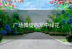 广场舞绽的军中绿花