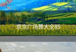 京京广场舞大全85