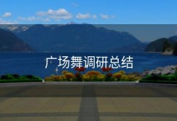 广场舞调研总结