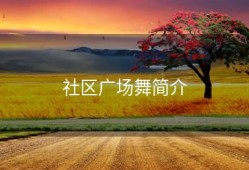 社区广场舞简介