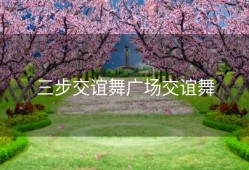 三步交谊舞广场交谊舞