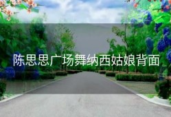 陈思思广场舞纳西姑娘背面