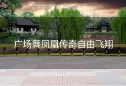 广场舞凤凰传奇自由飞翔