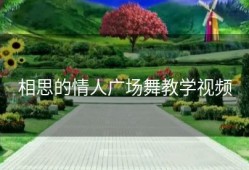 相思的情人广场舞教学视频
