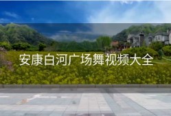 安康白河广场舞视频大全