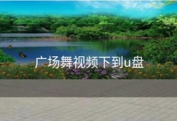 广场舞视频下到u盘