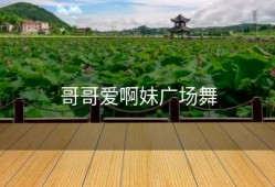 哥哥爱啊妹广场舞