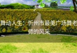 舞动人生：忻州市最美广场舞老师的风采