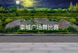 栾城广场舞比赛