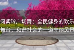 何紫玲广场舞：全民健身的欢乐舞台，和谐社会的一道亮丽风景