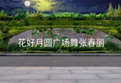 花好月圆广场舞张春丽