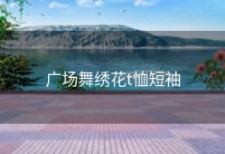 广场舞绣花t恤短袖