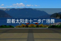 跟着太阳走十二步广场舞