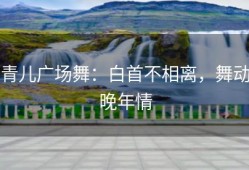 青儿广场舞：白首不相离，舞动晚年情