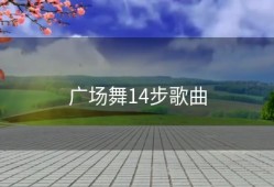 广场舞14步歌曲