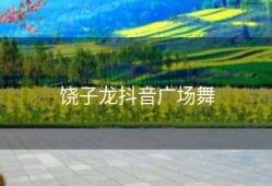 饶子龙抖音广场舞