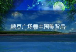 糖豆广场舞中国美背后