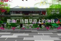 歌曲广场舞草原上的你我