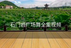 石门岩广场舞全集视频