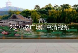 2岁小孩广场舞高清视频