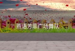 燕语芳菲广场舞队