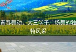 青春舞动，大三学子广场舞的独特风采