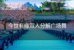 今世有缘双人分解广场舞