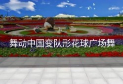 舞动中国变队形花球广场舞