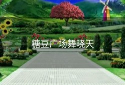 糖豆广场舞晓天