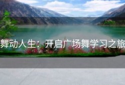 舞动人生：开启广场舞学习之旅