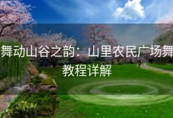 舞动山谷之韵：山里农民广场舞教程详解