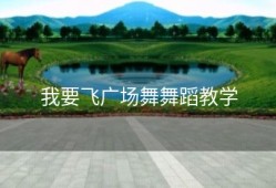 我要飞广场舞舞蹈教学