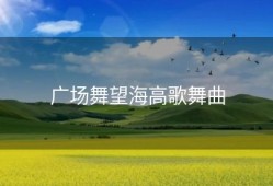 广场舞望海高歌舞曲