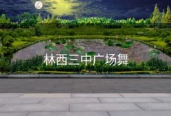 林西三中广场舞