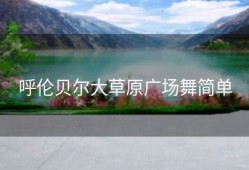 呼伦贝尔大草原广场舞简单