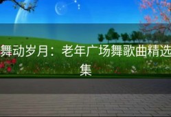 舞动岁月：老年广场舞歌曲精选集