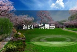 谁的广场舞最