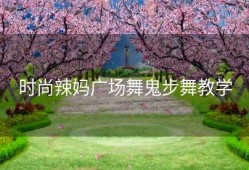 时尚辣妈广场舞鬼步舞教学
