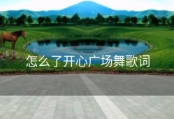 怎么了开心广场舞歌词