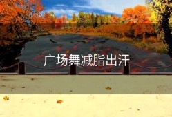 广场舞减脂出汗