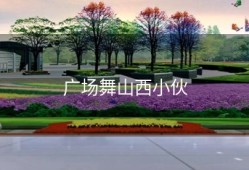 广场舞山西小伙