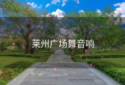 莱州广场舞音响